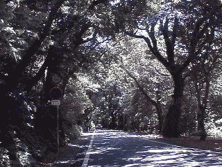 �������ւ̃G���g�����X�i�ʐ^���ω�����j