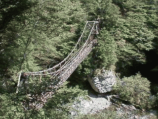 �������̋��i�ʐ^�ω�����j