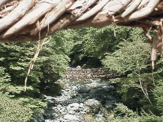 �Ⴂ���̋��i�ʐ^�ω�����j