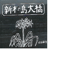 �V���F�ω��ʐ^