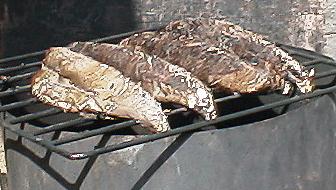 �����������̃^�^�L