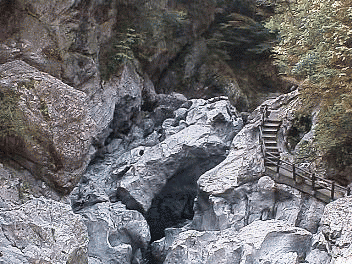 �������i���ʐ^�Q��